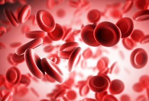 معافیت پزشکی - بخش دهم - خون و انکولوژی