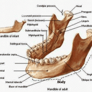 معافیت پزشکی - بخش دوازدهم - فک و دهان و دندان